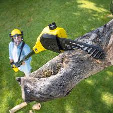 Lawn Renovation and Restoration in Fort Atkinson, WI